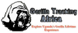 Luxury Gorilla Trekking Africa