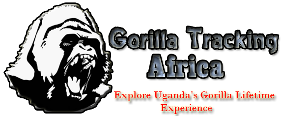 Gorilla Tracking Africa